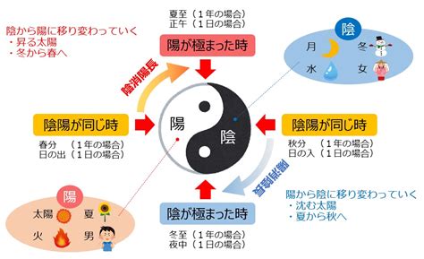 陰陽法則|陰陽法則とは 